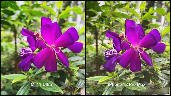小米11ultra和iphone12ProMax拍照哪個好對比評測(圖2)