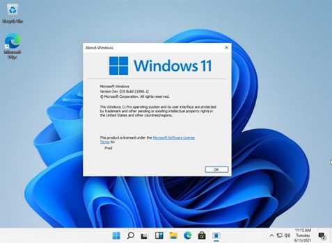windows11右下角消息欄怎么關閉(1)