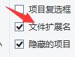 win11顯示文件屬性后綴的方法(2)