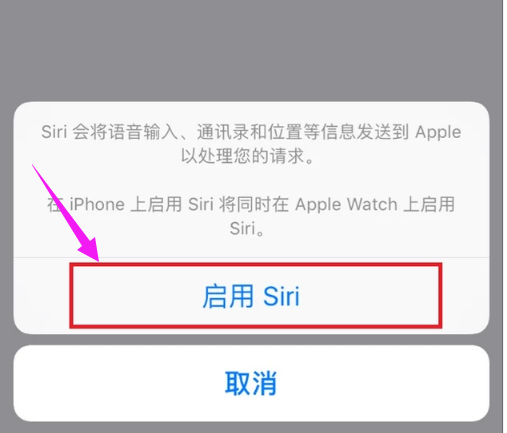 蘋果手機如何開啟嘿siri(3)