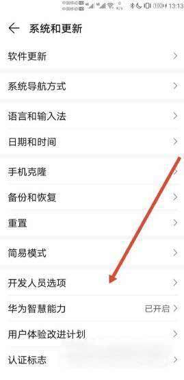 華為Nova9怎么打開開發者選項(圖文)