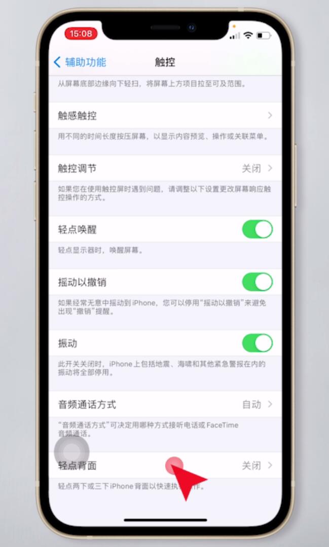 蘋果背面雙擊截屏怎么設置(3)