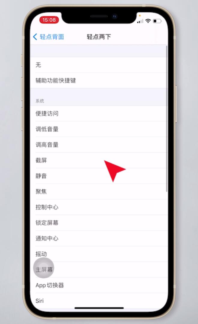 蘋果背面雙擊截屏怎么設置(5)