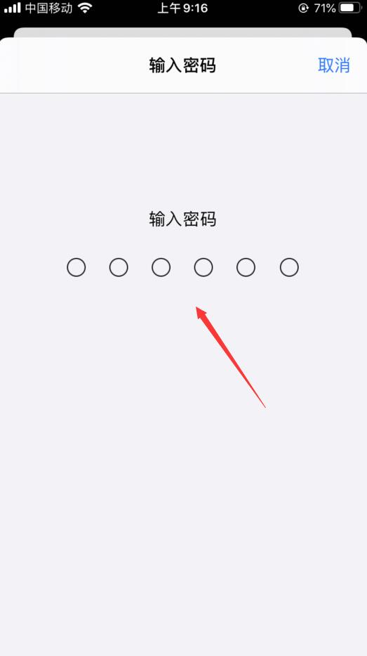 蘋果ios14.5測試版怎么下載？(4)