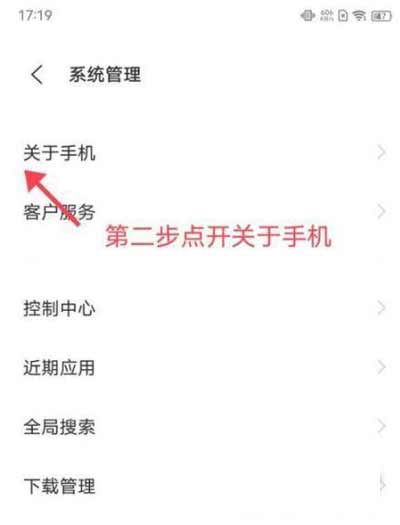iQOO8Pro怎么進入開發者-開發者模式在哪里設置(圖文)