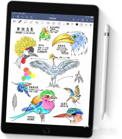 iPad9支持二代筆嗎-怎么連接ApplePencil(圖文)