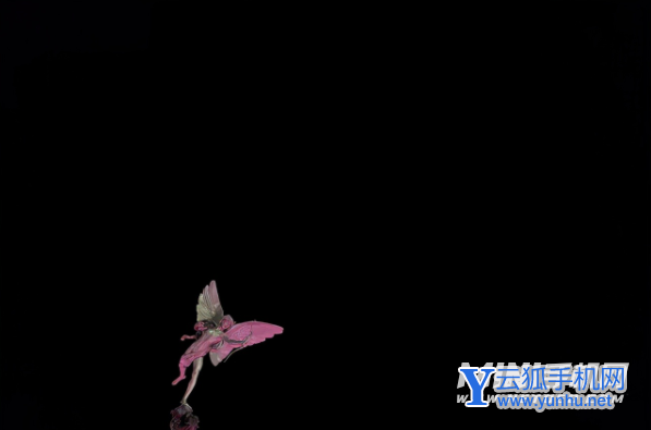 華為Nova9Pro拍照怎么樣-拍照實測