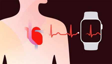 AppleWatch心電圖國內可以用嗎(圖文)