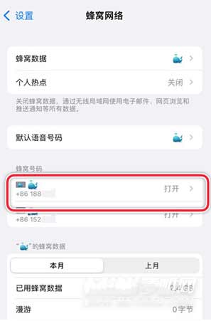 iPhone13手機的APN功能在哪(圖文)