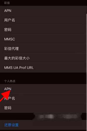 iPhone13手機的APN功能在哪(圖文)