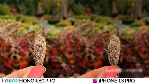 榮耀60Pro和iPhone13ProMax拍照對比-差距大嗎(圖文)