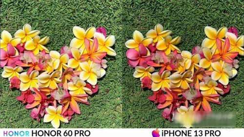 榮耀60Pro和iPhone13ProMax拍照對比-差距大嗎(圖文)