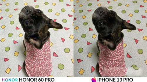 榮耀60Pro和iPhone13ProMax拍照對比-差距大嗎(圖文)