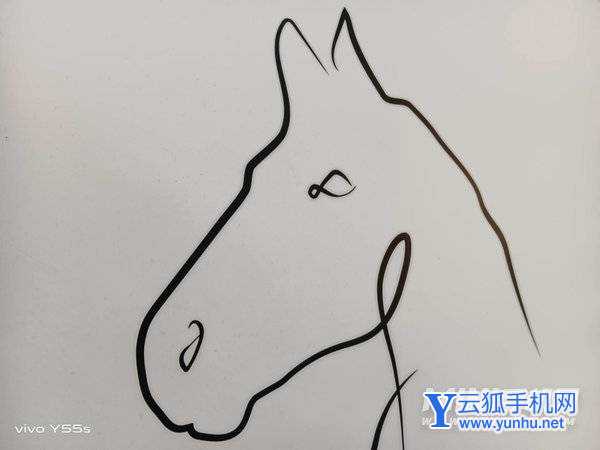 主攝