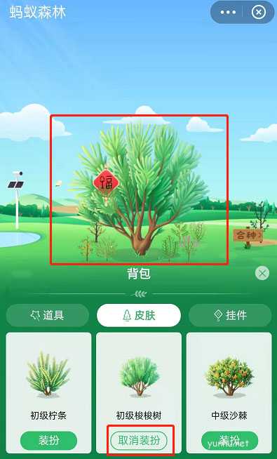 支付寶螞蟻森林怎么獲取梭梭樹永久皮膚教程