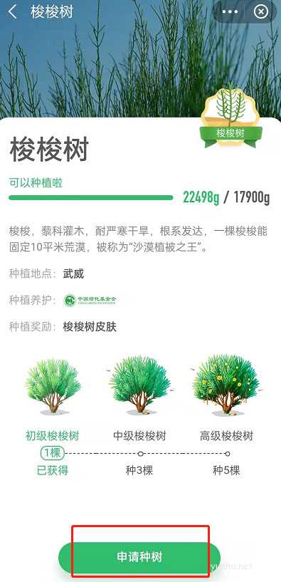 支付寶螞蟻森林怎么獲取梭梭樹永久皮膚教程