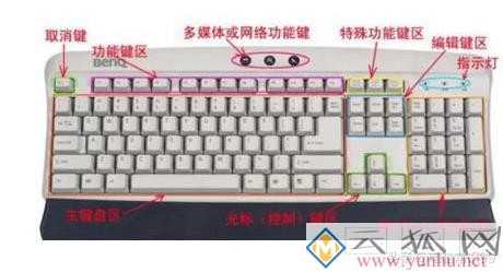 電腦打字手指正確姿勢（電腦打字怎么學比較快）(1)