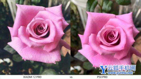 小米12pro拍照對比華為p50pro-哪款手機拍照性能更好