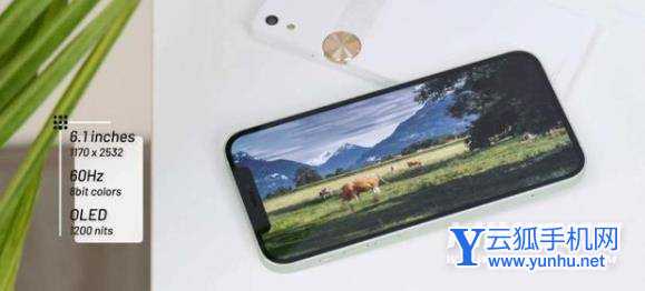 小米12x和iPhone12有什么區別-哪個性價比更高-參數對比