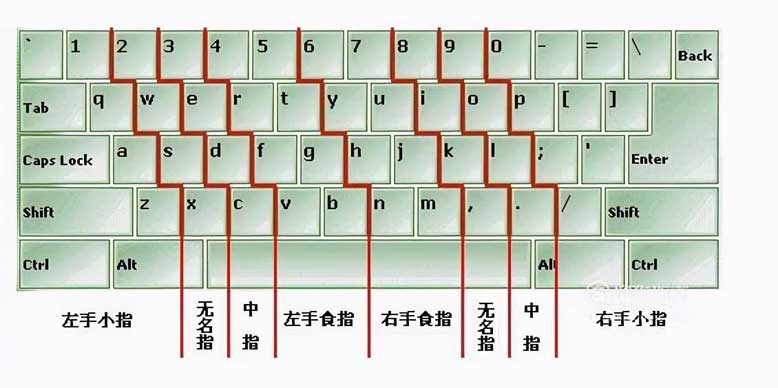 電腦打字手指正確姿勢（電腦打字怎么學比較快）(4)