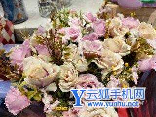 真我v25手機拍照性能怎么樣-手機拍照評測(2/2)
