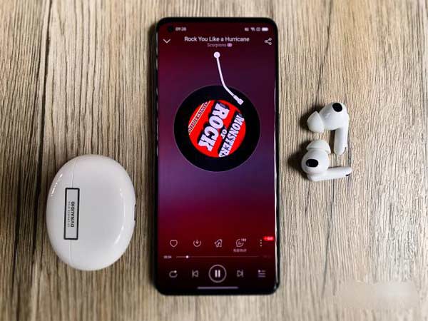 OPPO Enco X2 真無線降噪耳機怎么樣，聽音樂測評(圖文)(2/4)