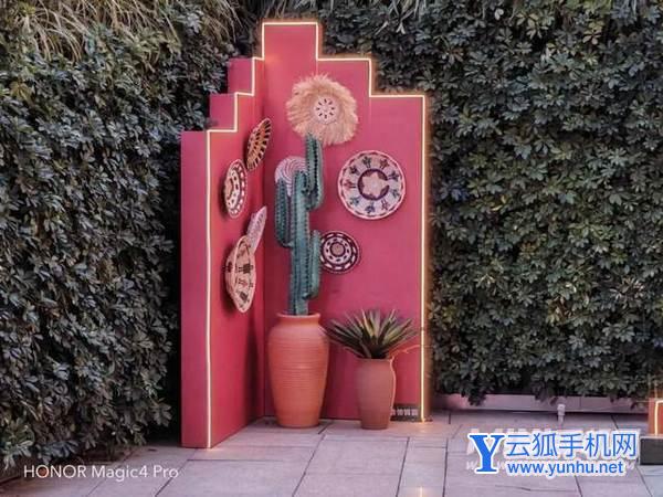 榮耀magic4Pro和三星s22Ultra拍照方面哪個更好-手機拍照評測