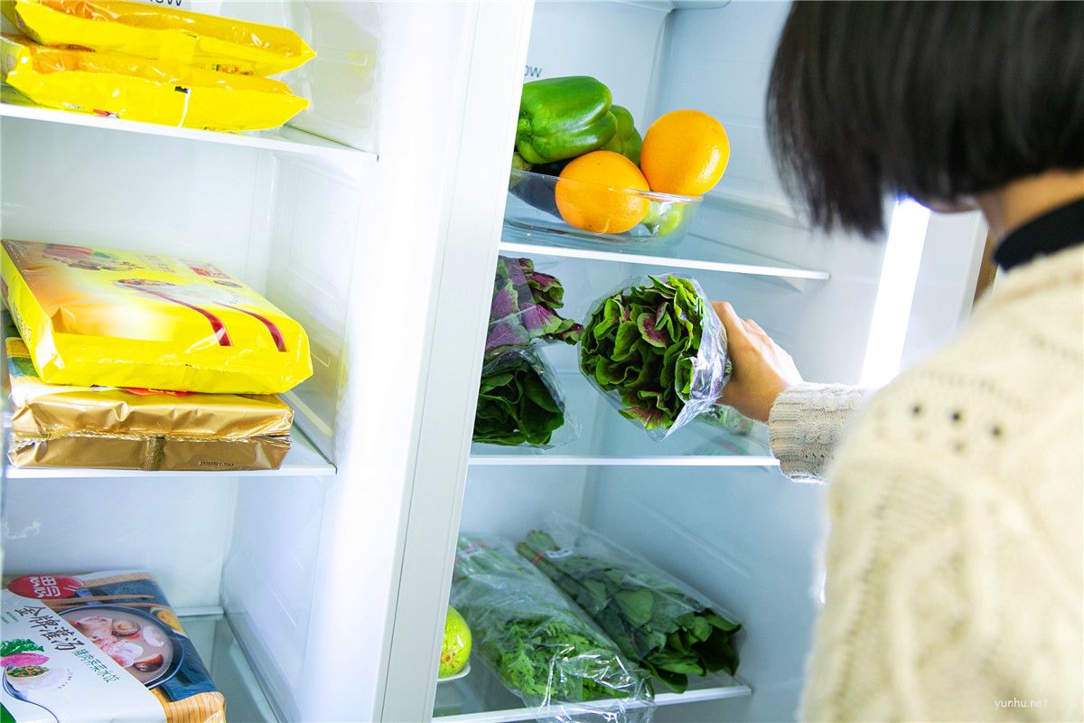 冰箱壓縮機至臻10年包修，彰顯技術實力