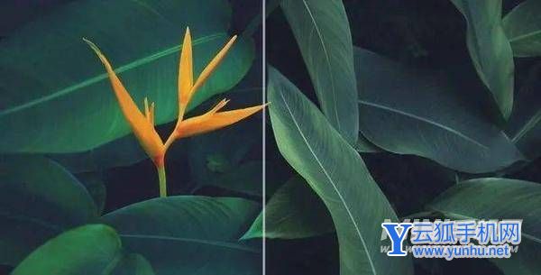 榮耀Magic4Pro開箱評測-真機上手測評