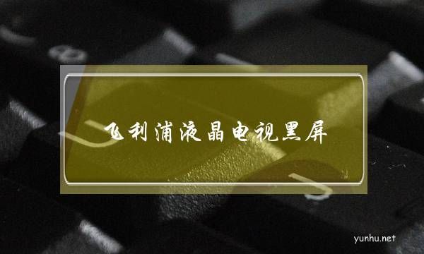 飛利浦液晶電視黑屏(飛利浦液晶電視黑屏電源指示燈不亮)