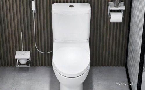 坐便器的蓋子怎樣更換？方法很簡單，自己動手。