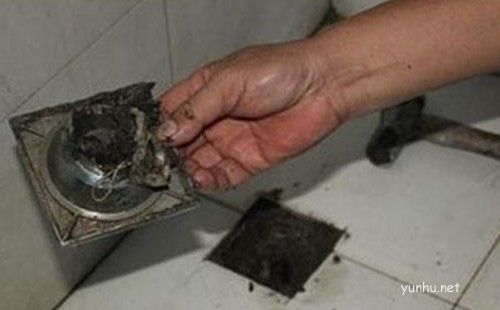 下水道頭發用什么溶解|一個小妙招輕松解決