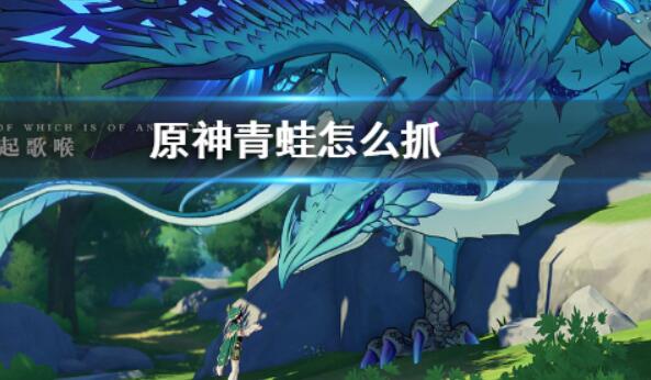 原神青蛙最多位置介紹.jpg