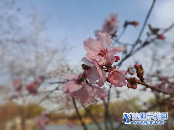 三星A53拍照怎么樣-攝像評測