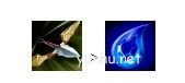 金鏟鏟之戰挑戰奎因狼陣容2