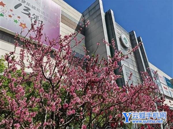 榮耀Magic4至臻版拍照怎么樣-手機影像評測