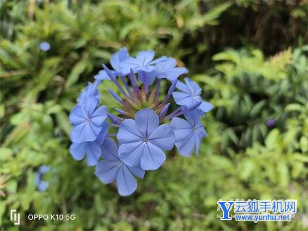 OPPOK10好不好-手機值得入手嗎(2/2)