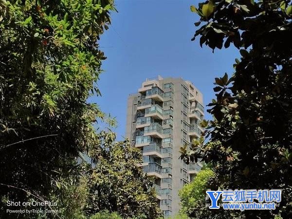1899元最強LCD旗艦！一加Ace競速版評測：幀率最穩 控溫最狠