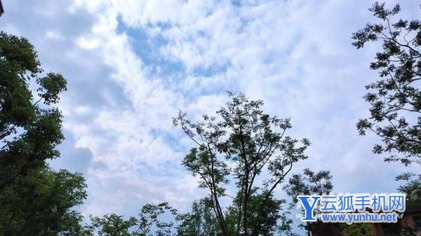 紅米note11TPro手機拍照怎么樣-手機拍照評測