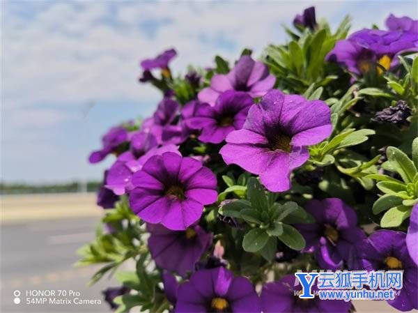 榮耀70pro值得入手嗎-手機日常體驗怎么樣(2/7)