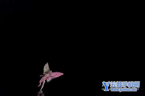 華為Nova9pro夜景拍攝怎么樣-夜間拍照好嗎