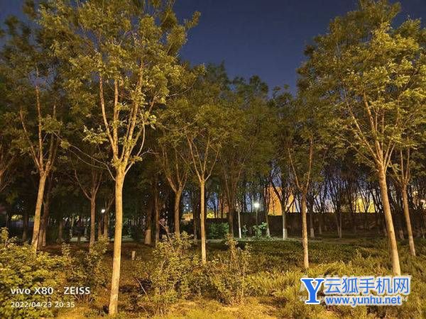 vivox80拍夜景怎么樣-夜景效果好嗎
