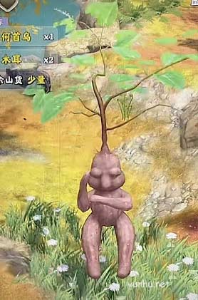 奪筍高手人形何首烏怎么挖5