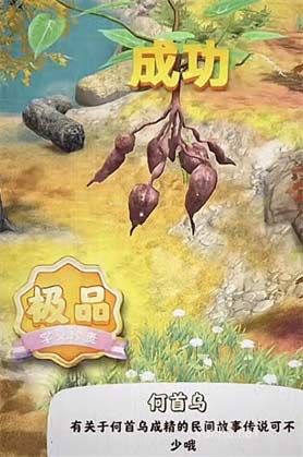奪筍高手人形何首烏怎么挖3