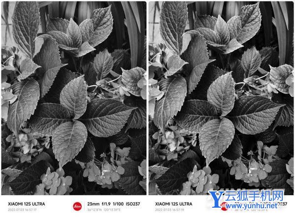 小米12SUltra拍照怎么樣-攝像評測(2/4)