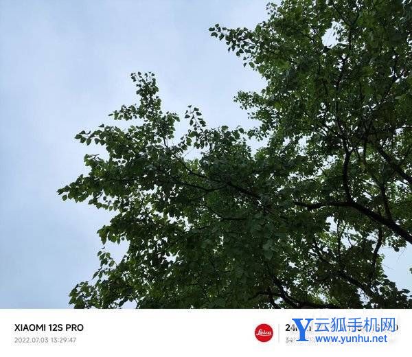 小米12SPro全面評測-性能深度測評(5/6)
