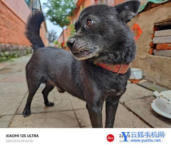 小米12SUltra拍照怎么樣-攝像評測(3/4)