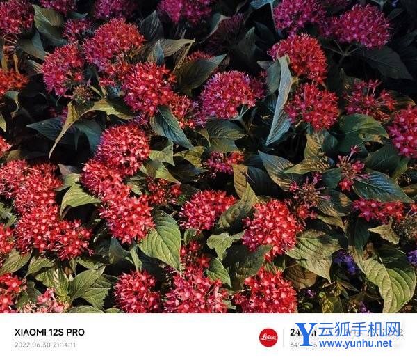 小米12SPro全面評測-性能深度測評(6/6)