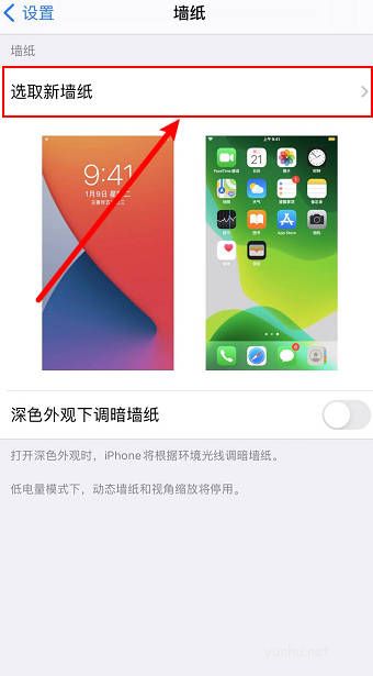 蘋果手機主題怎么設置(2)