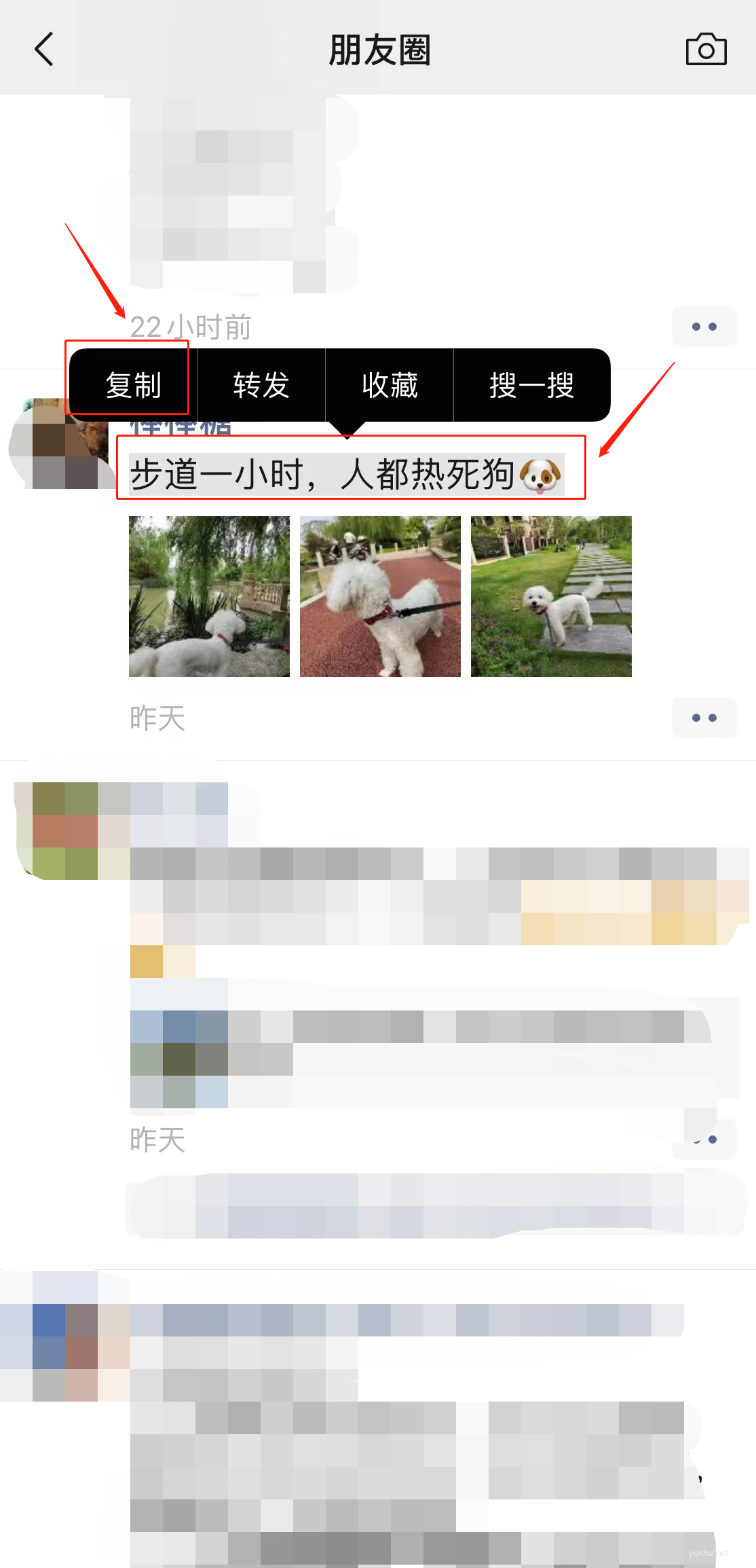 怎么把別人發的內容轉發朋友圈(5)